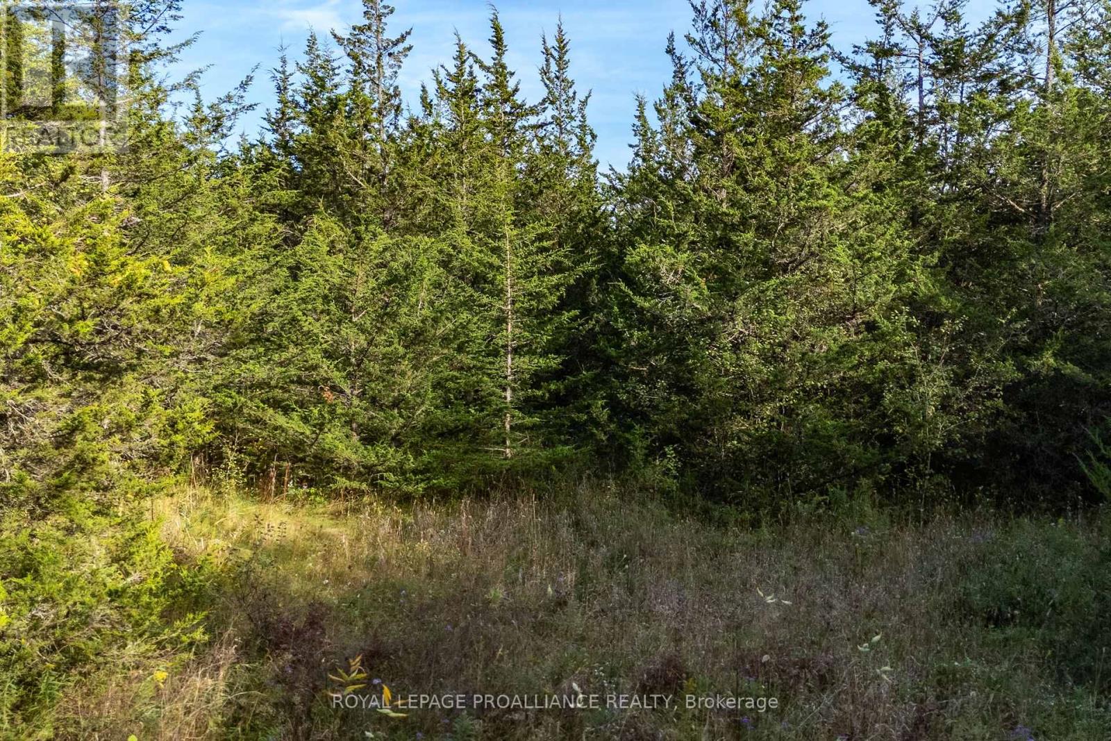 Lot 45 Sprague Road, Prince Edward County (Sophiasburgh), Ontario  K0K 1W0 - Photo 12 - X6685510