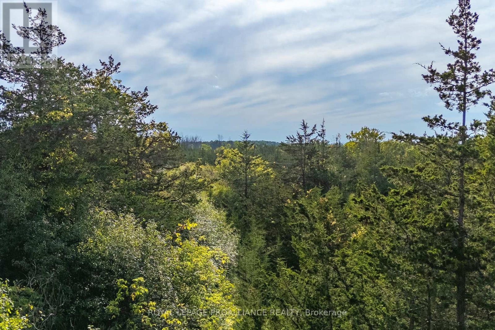 Lot 45 Sprague Road, Prince Edward County (Sophiasburgh), Ontario  K0K 1W0 - Photo 17 - X6685510