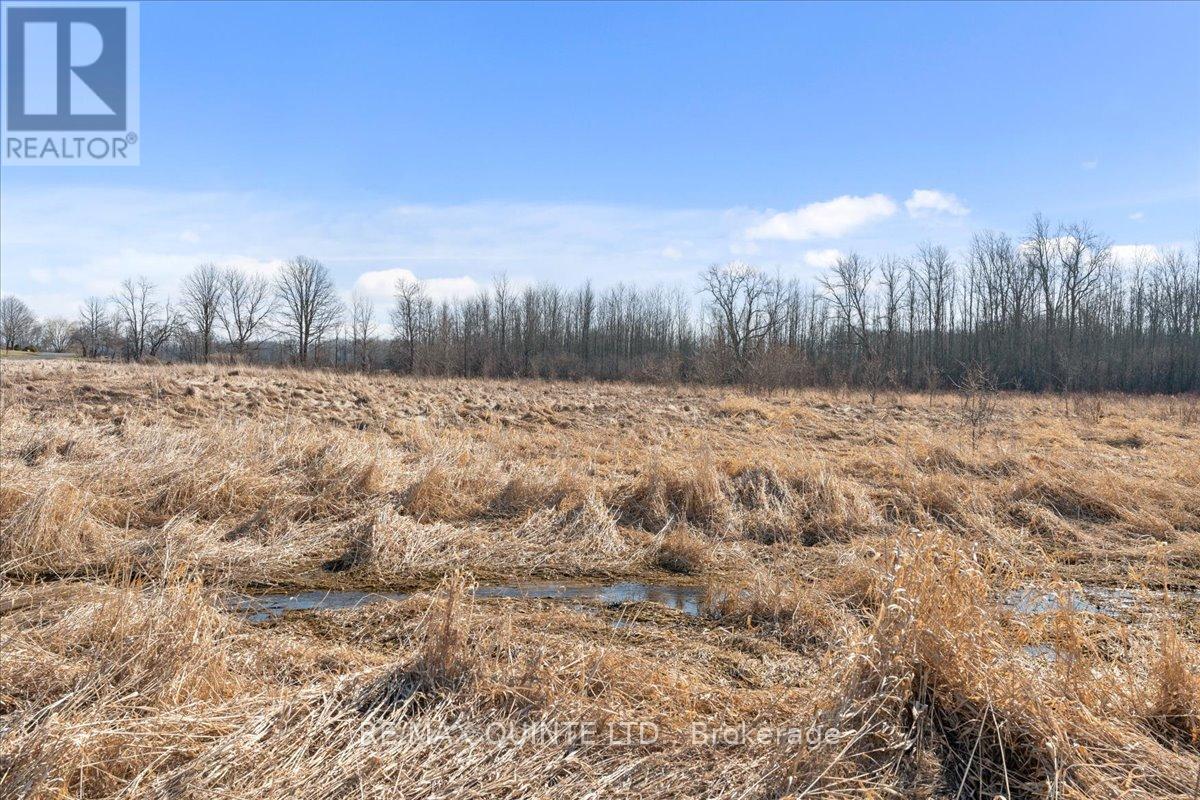 Across From 321 Quaker Rd, Prince Edward County, Ontario  K0K 1G0 - Photo 10 - X8156078