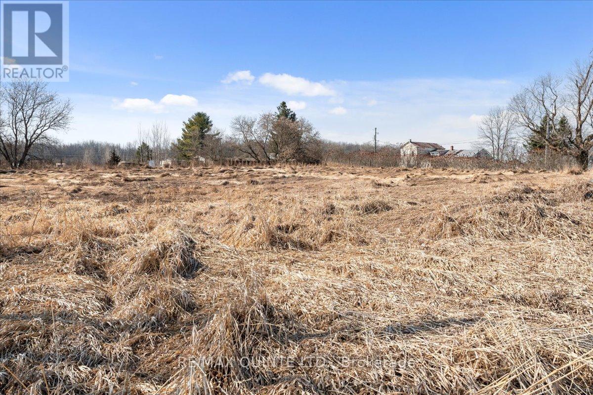 Across From 321 Quaker Rd, Prince Edward County, Ontario  K0K 1G0 - Photo 11 - X8156078