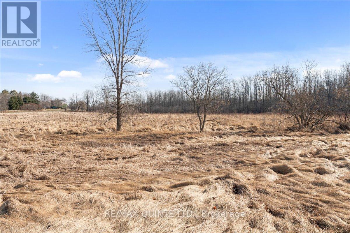Across From 321 Quaker Rd, Prince Edward County, Ontario  K0K 1G0 - Photo 12 - X8156078
