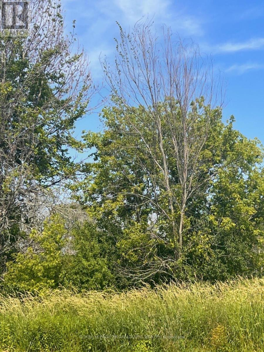308 Quaker Road, Prince Edward County (Bloomfield), Ontario  K0K 1G0 - Photo 11 - X8475576