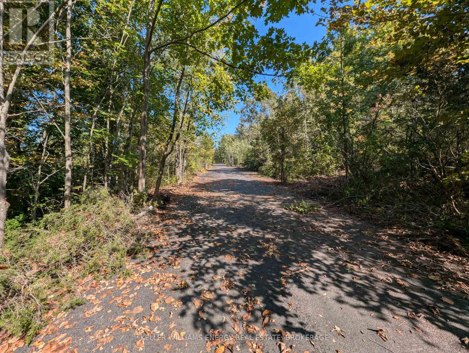 22 Ranger Road, Prince Edward County (Ameliasburgh), Ontario  K0K 1A0 - Photo 11 - X8488730