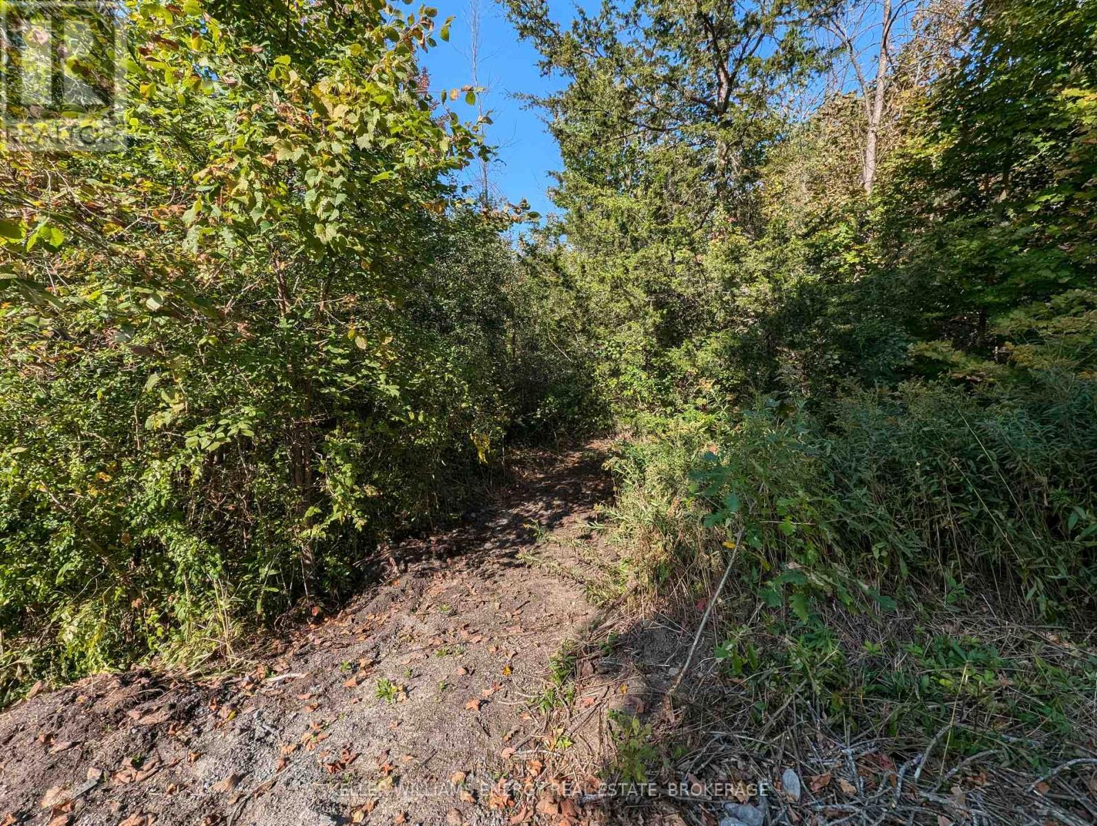 22 Ranger Road, Prince Edward County (Ameliasburgh), Ontario  K0K 1A0 - Photo 27 - X8488730